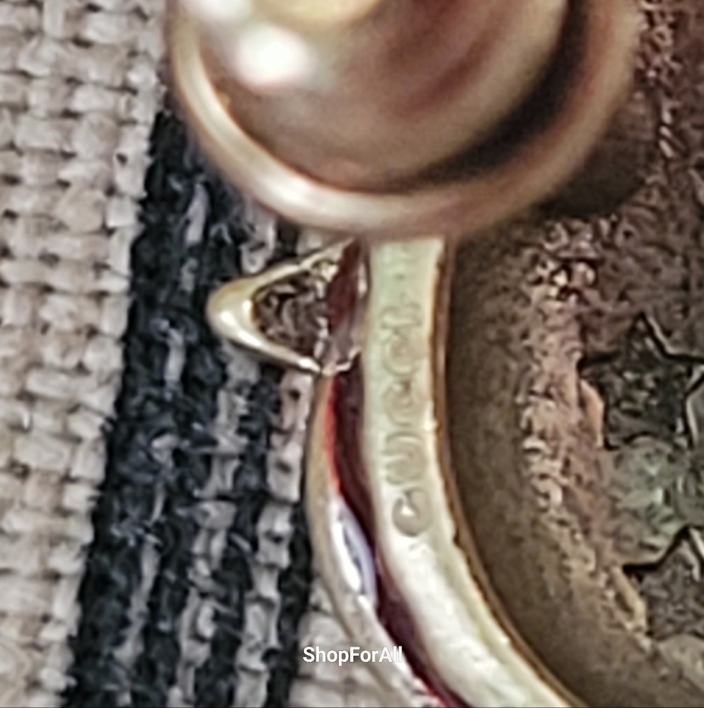 Gucci Red and Black Strawberry Earrings - Picture 9 of 10